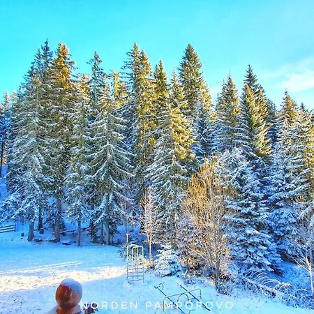 公寓 Nordenpamporovo 潘波洛沃
