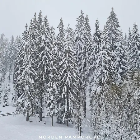 Nordenpamporovo パンポロボ