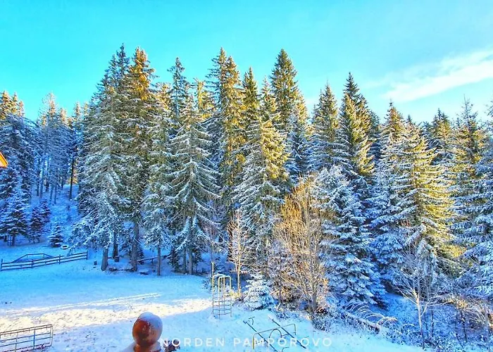 Апартаменты Nordenpamporovo Пампорово