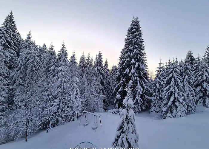 Nordenpamporovo Апартаменты Пампорово