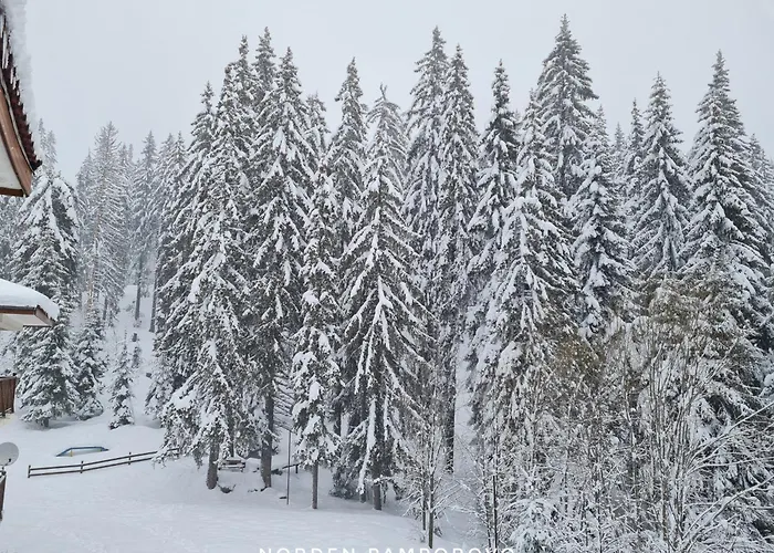 Nordenpamporovo Pamporowo